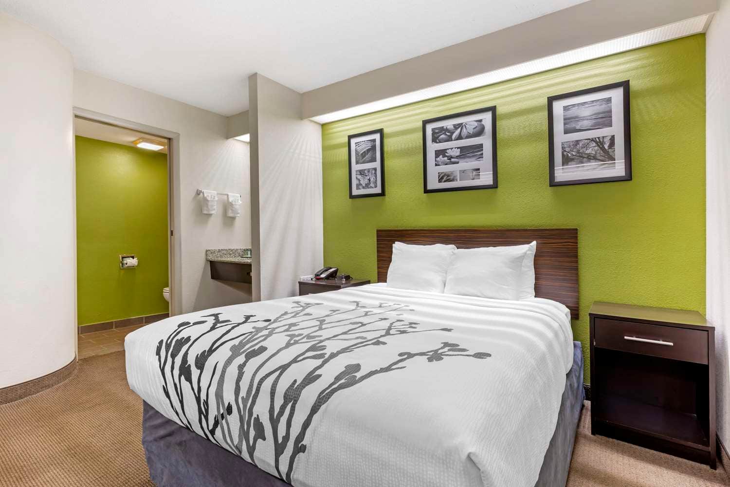Sleep Inn at Greenville Convention Center