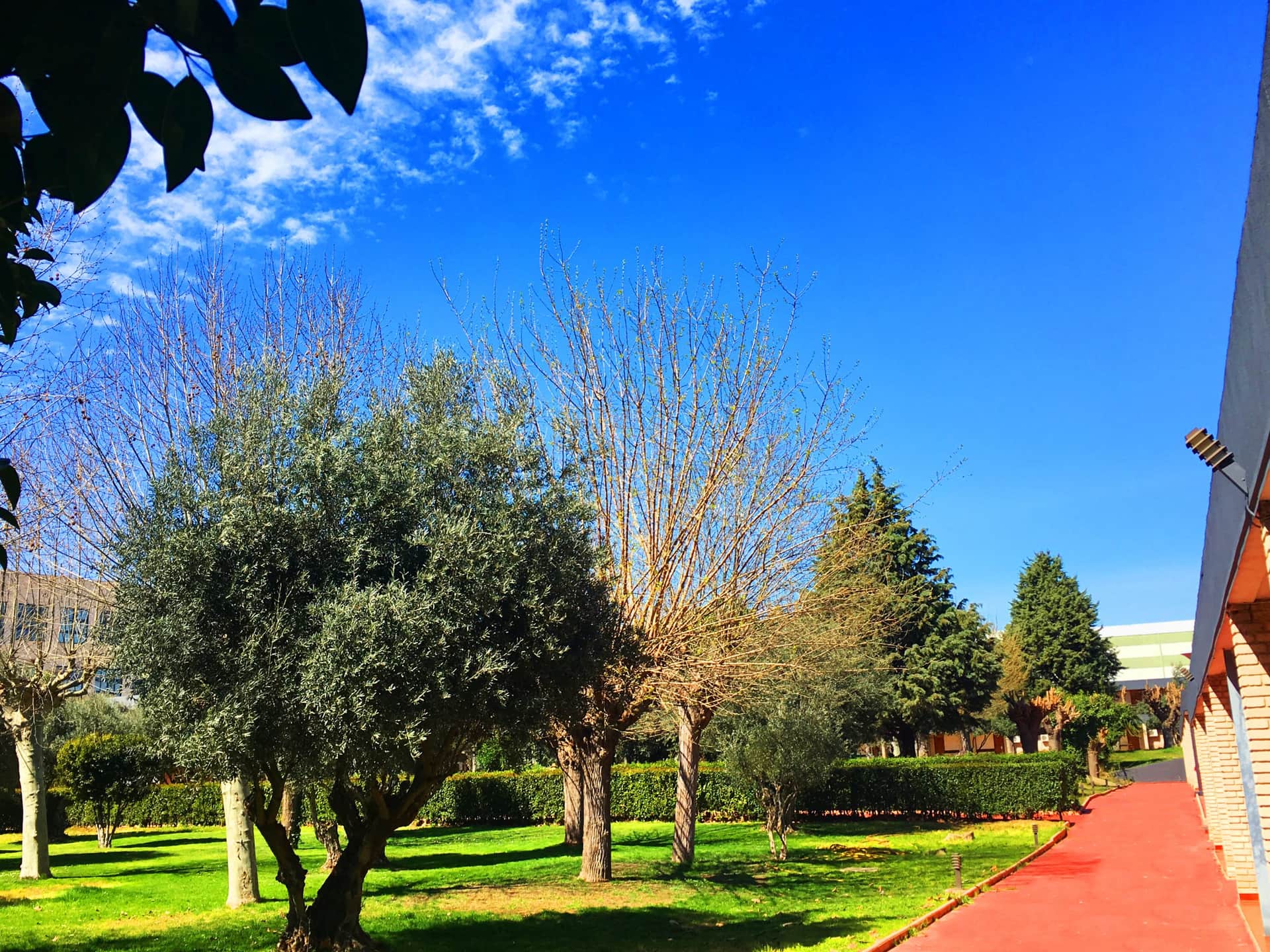 Hotel Los Olivos