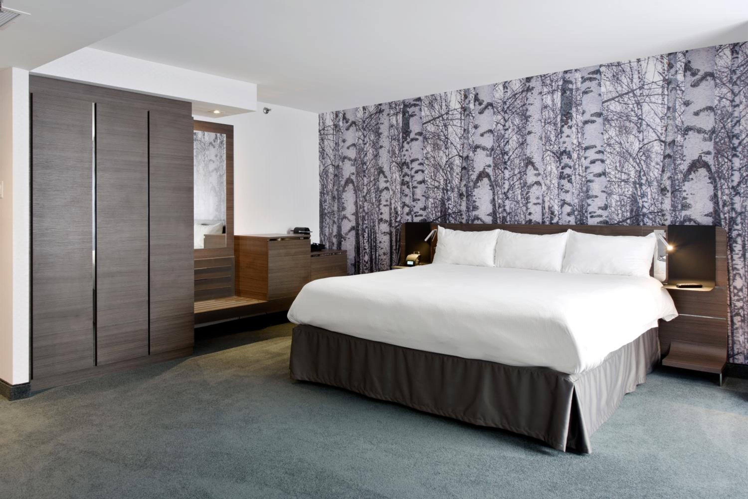 Novotel Ottawa City Centre