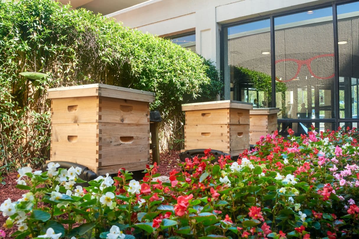 Atlanta Airport Marriott