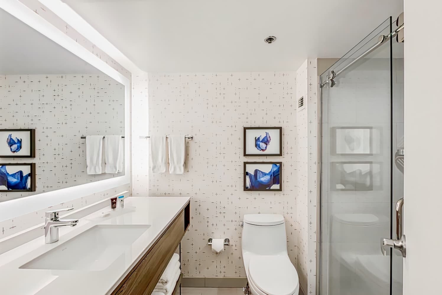 Crowne Plaza Suites Arlington - Ballpark - Stadium