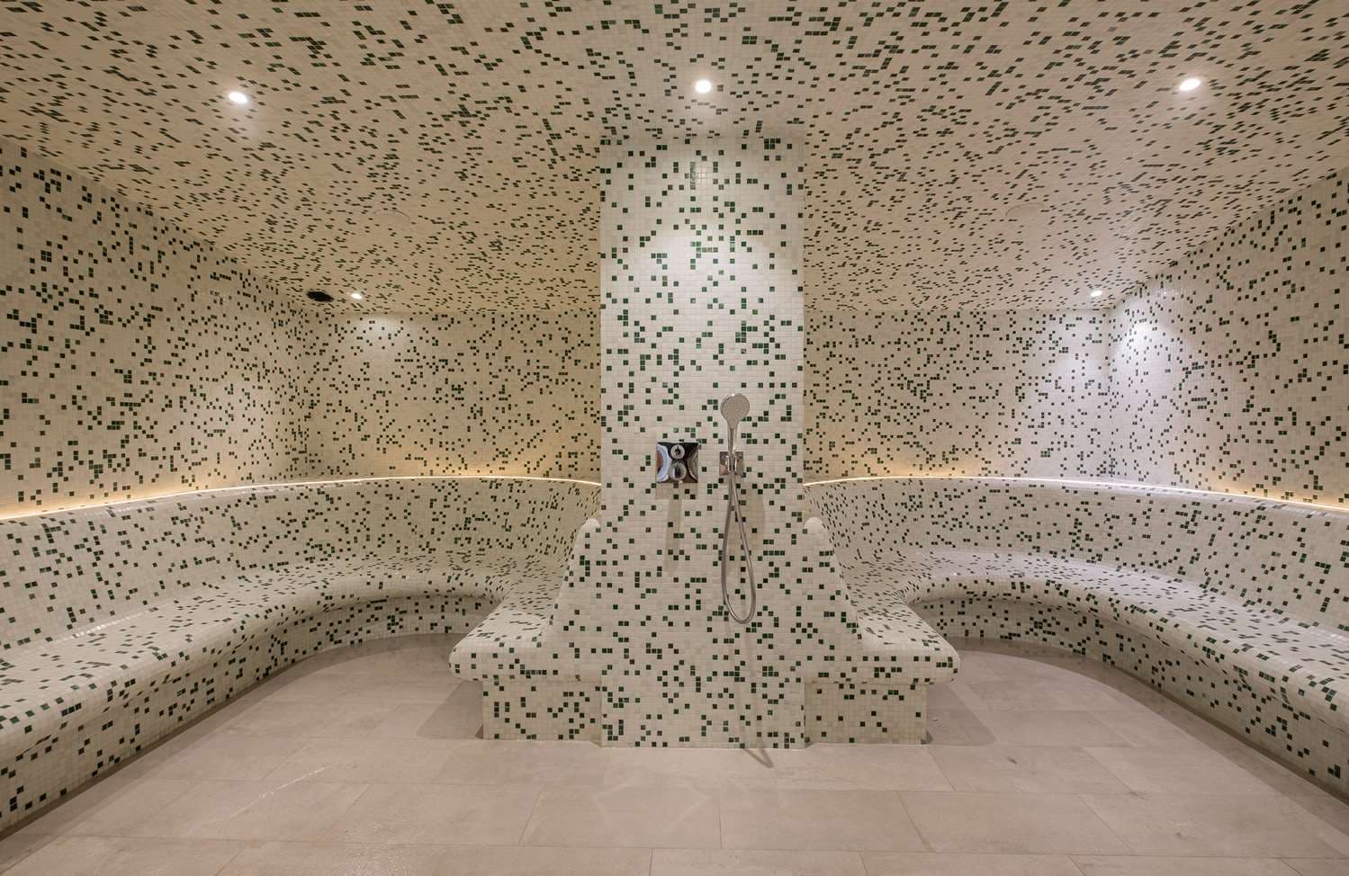 Golden Tulip Lyon Ouest Techlid Hotel & Spa