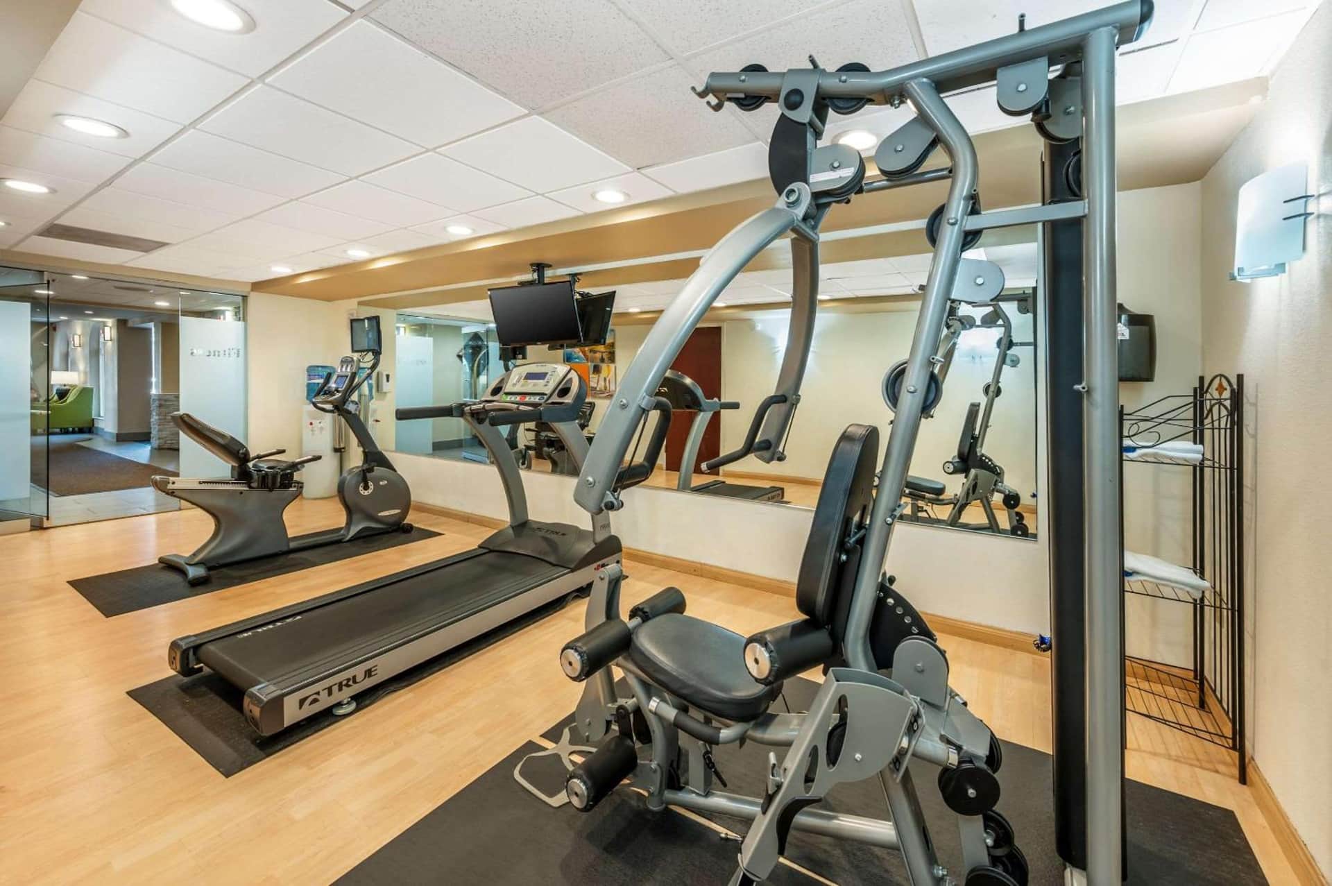 Comfort Inn & Suites East Hartford - Hartford