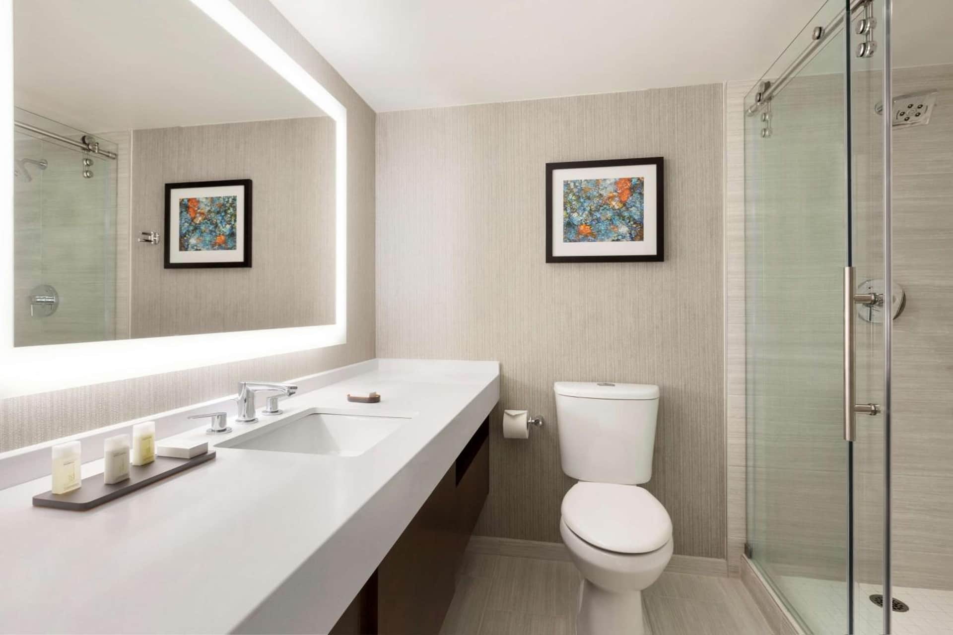 Embassy Suites by Hilton Chicago Lombard Oak Brook