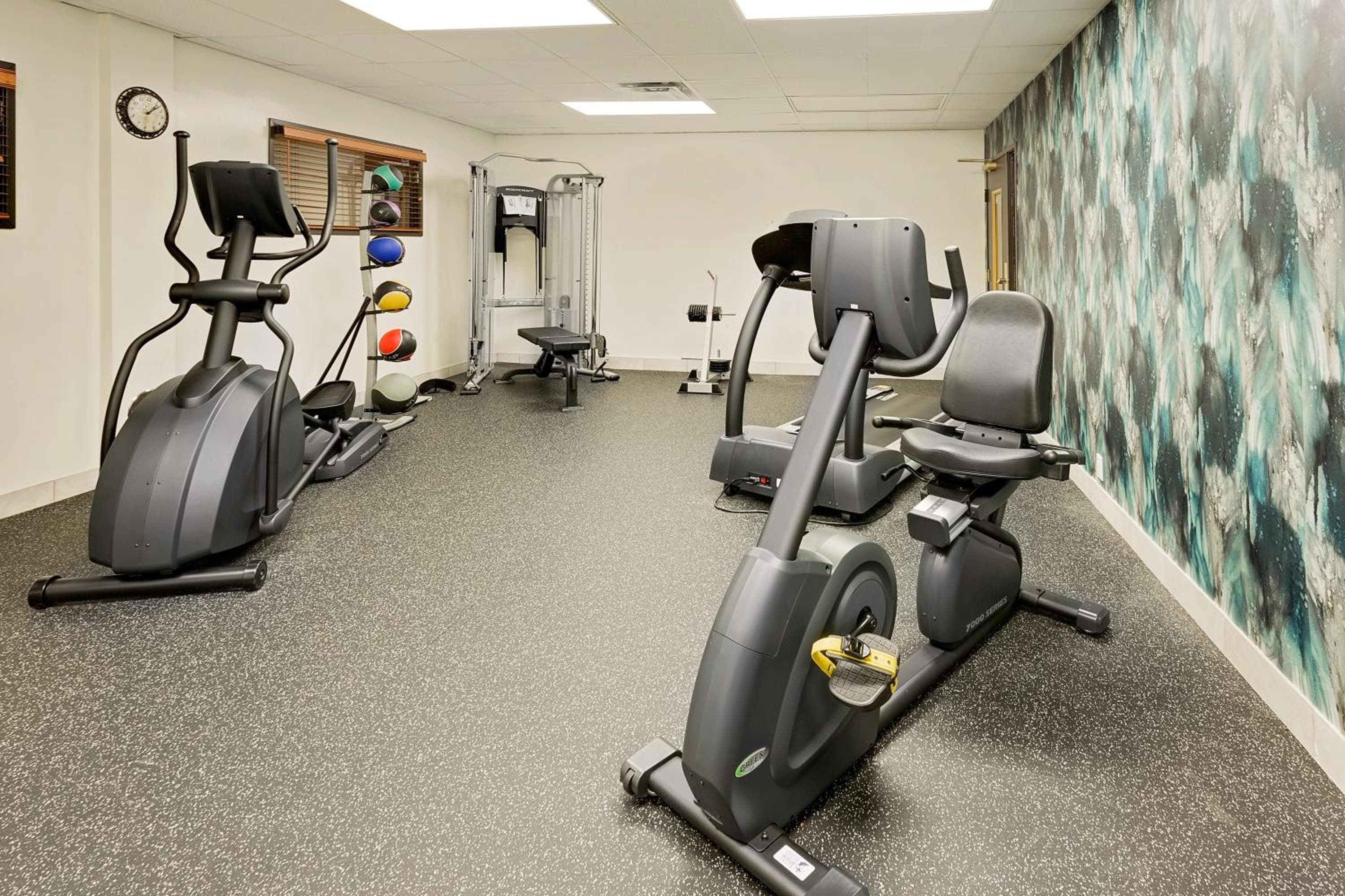Comfort Inn & Suites Arlington Heights - Schaumburg