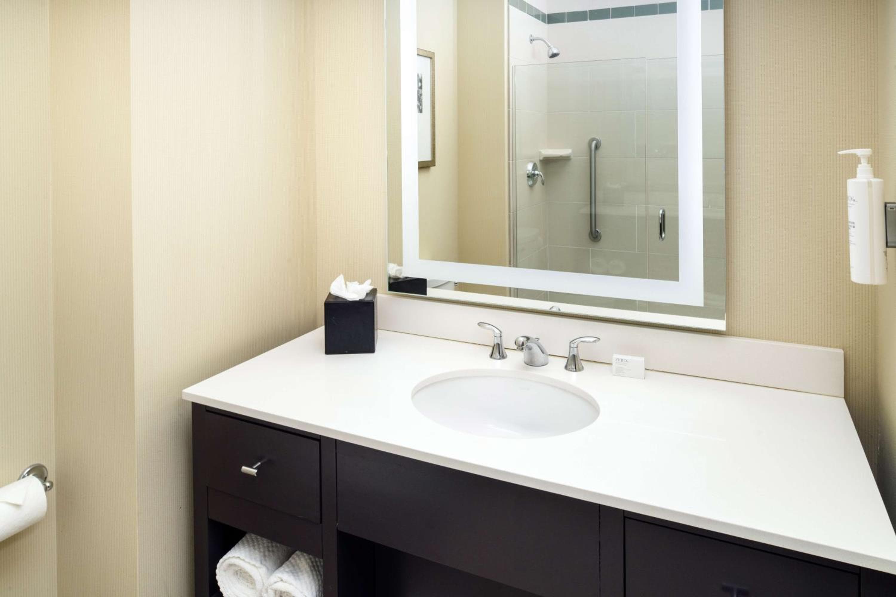 Embassy Suites by Hilton St. Louis Downtown